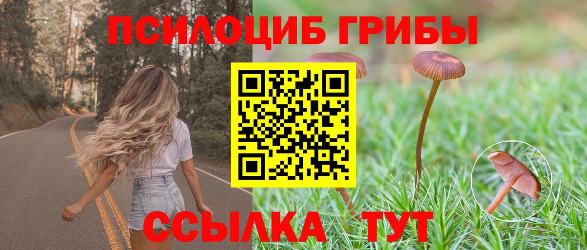 Псилоцибиновые грибы прущие грибы  Вход с VPN  Прохладный 