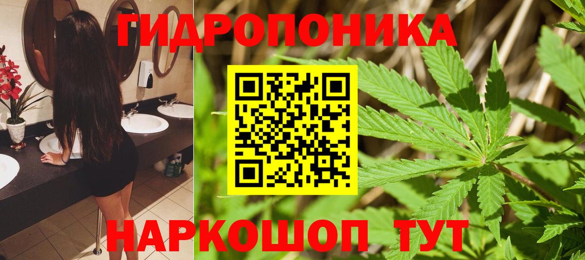 Канабис гибрид  Марихуана Bruce Banner  Марихуана планчик  Каннабис OG Kush  Вход с VPN  Прохладный 